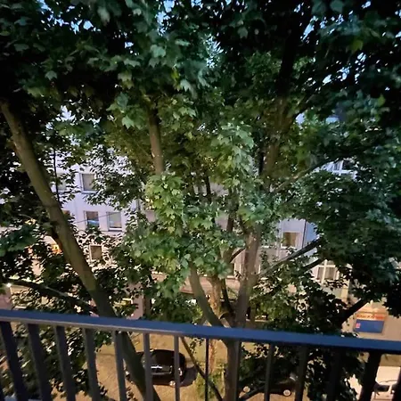Modern Roof Terrace * Dusseldorf